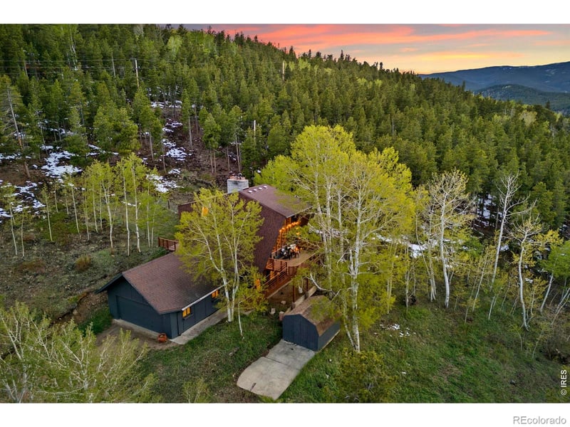 56 Valley View Dr, Nederland, CO 80466