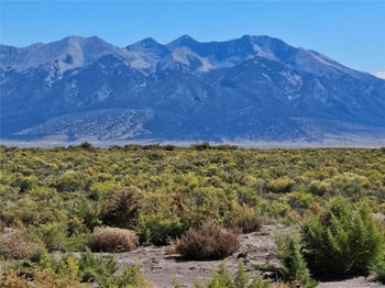 000 County Road 115 S, Alamosa, CO 81101