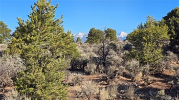Lot 3715 Hartgrave Rd, Fort Garland, CO 81133