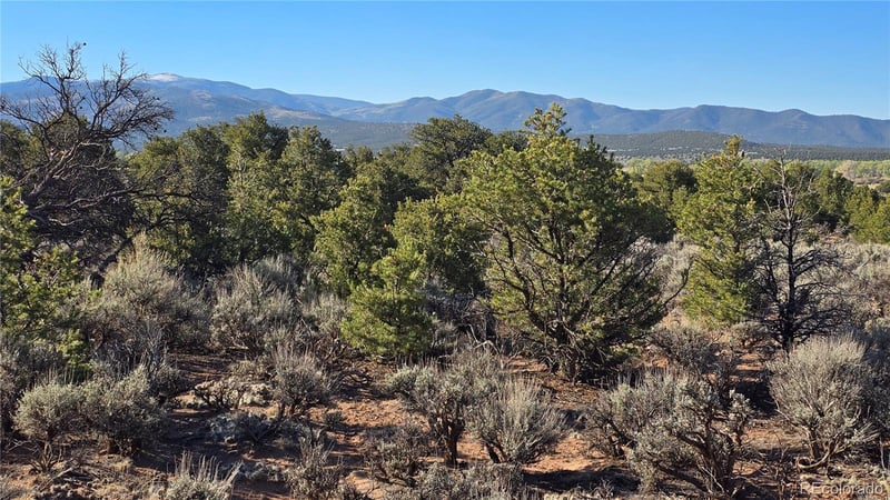 Lot 3715 Hartgrave Rd, Fort Garland, CO 81133