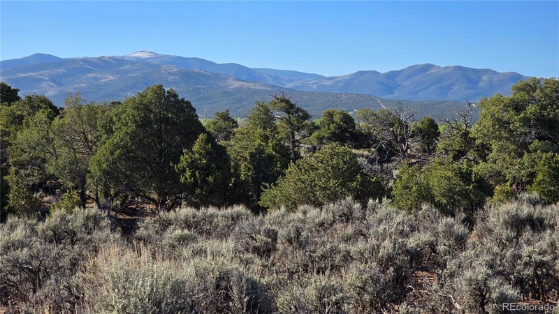 Lot 3715 Hartgrave Rd, Fort Garland, CO 81133