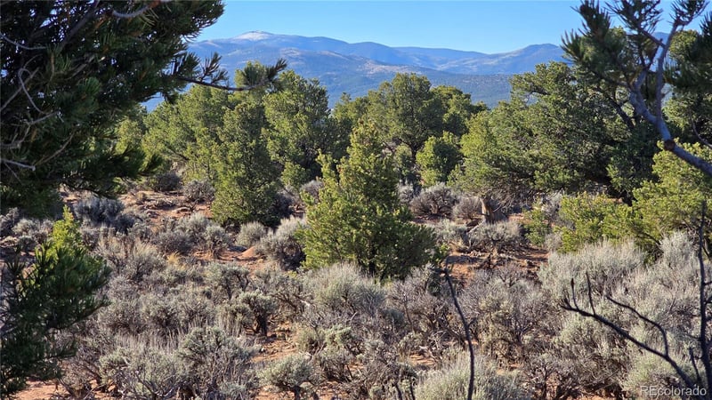 Lot 3715 Hartgrave Rd, Fort Garland, CO 81133