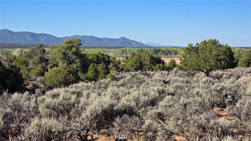 Lot 3715 Hartgrave Rd, Fort Garland, CO 81133