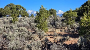 Lot 3715 Hartgrave Rd, Fort Garland, CO 81133