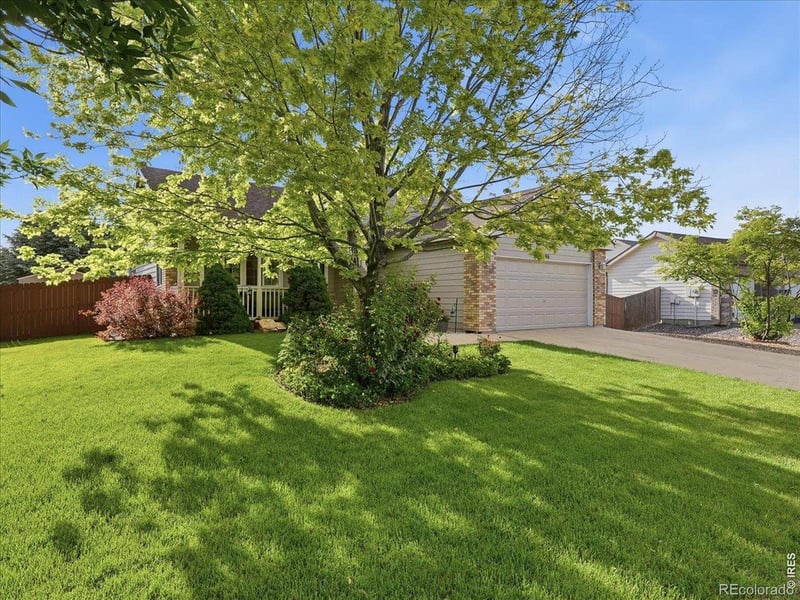 96 Pike Ln, Severance, CO 80550