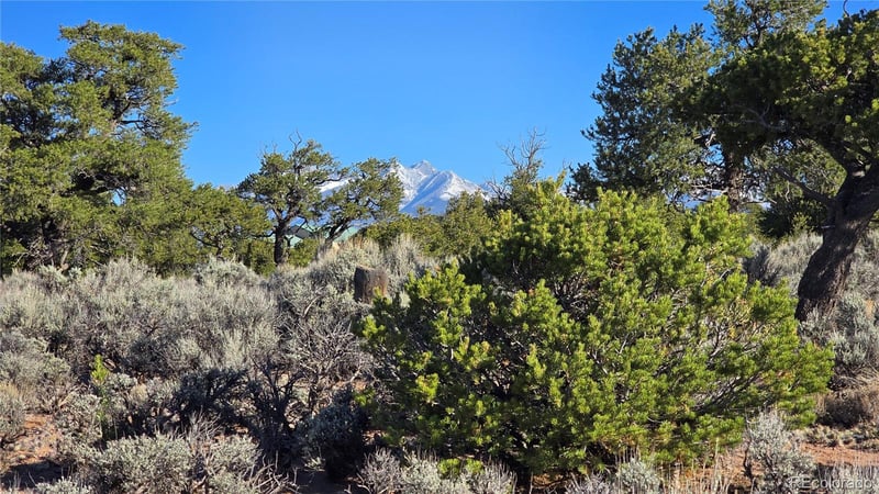 Lot 3714 Hartgrave Rd, Fort Garland, CO 81133