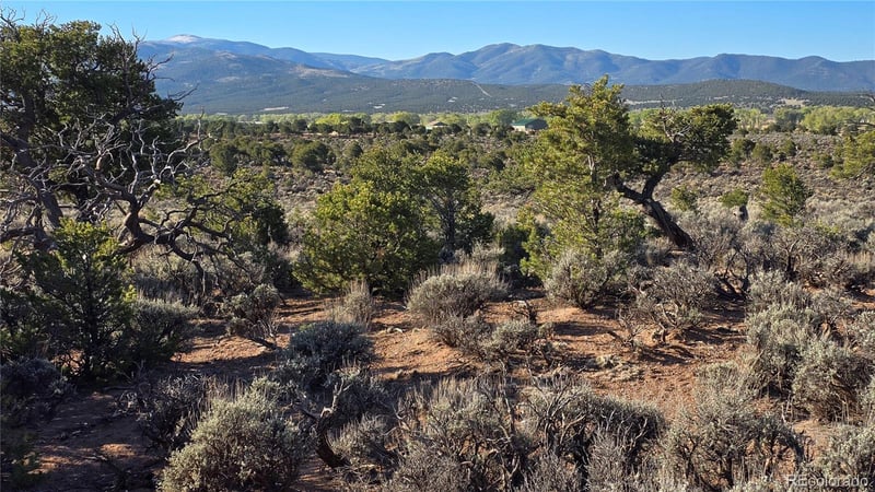 Lot 3714 Hartgrave Rd, Fort Garland, CO 81133