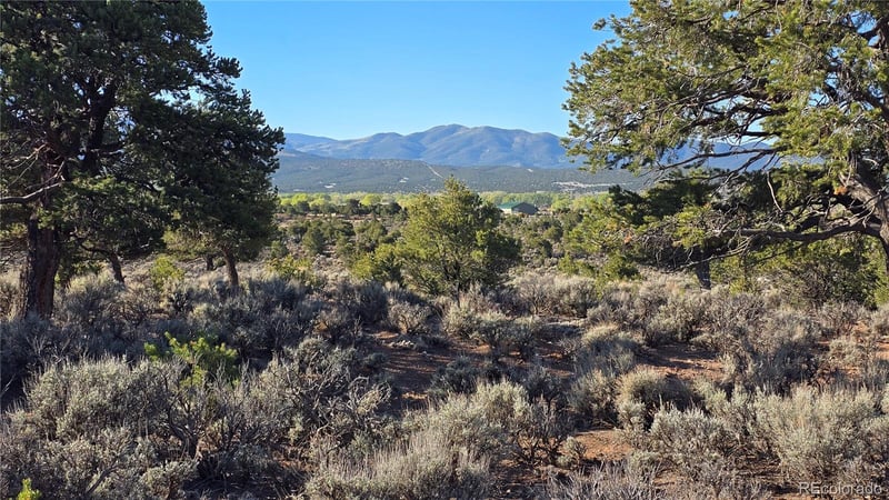 Lot 3714 Hartgrave Rd, Fort Garland, CO 81133