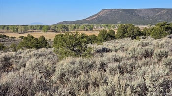 Lot 3714 Hartgrave Rd, Fort Garland, CO 81133