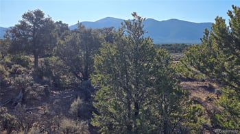Lot 3714 Hartgrave Rd, Fort Garland, CO 81133