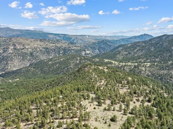 1825 Soul Shine Rd, Drake, CO 80515