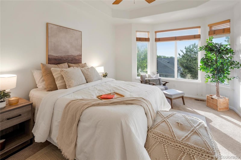 519 Stafford Cir, Castle Rock, CO 80104