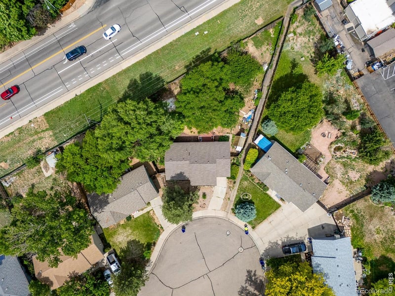 904 Foothills Ct, Windsor, CO 80550