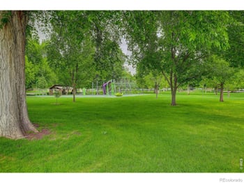 221 Chestnut St, Windsor, CO 80550