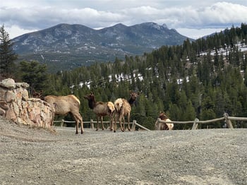 515 Beaver Rd, Black Hawk, CO 80422