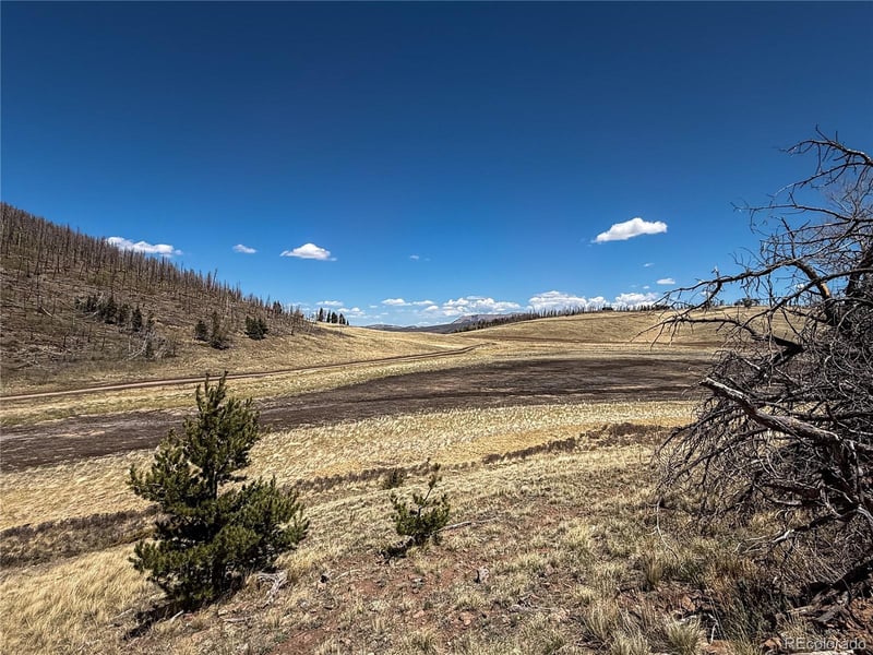 2348 Benton Pl, Fort Garland, CO 81133