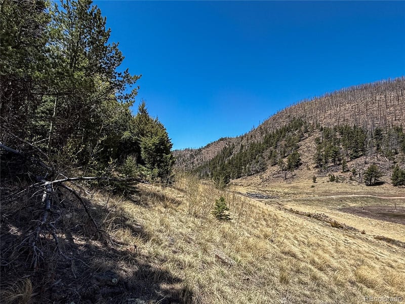 2348 Benton Pl, Fort Garland, CO 81133