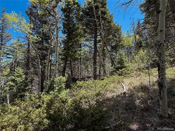 2348 Benton Pl, Fort Garland, CO 81133