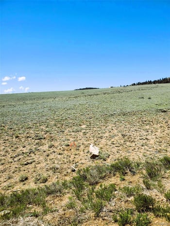 642 Mesa Rd, Hartsel, CO 80449