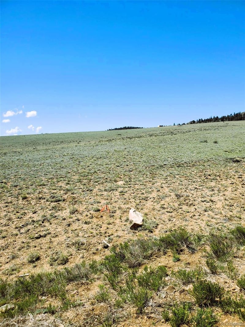 642 Mesa Rd, Hartsel, CO 80449