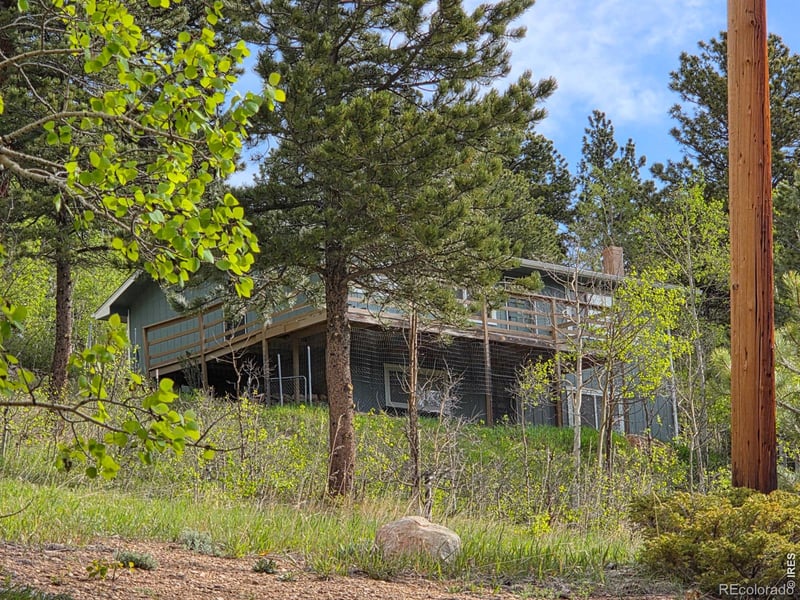 328 Skinner Rd, Allenspark, CO 80510