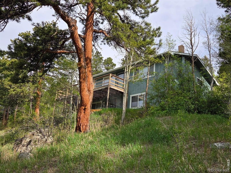 328 Skinner Rd, Allenspark, CO 80510