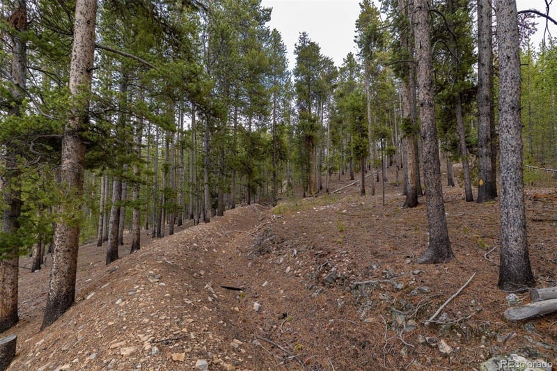 486 Moonstone Rd, Breckenridge, CO 80424