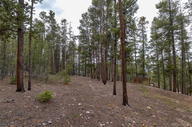 486 Moonstone Rd, Breckenridge, CO 80424
