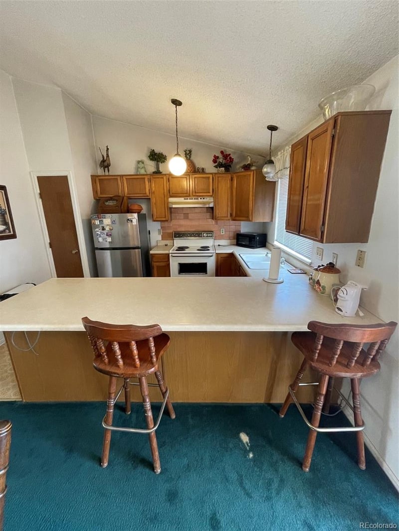 4841 Carson St, Denver, CO 80239