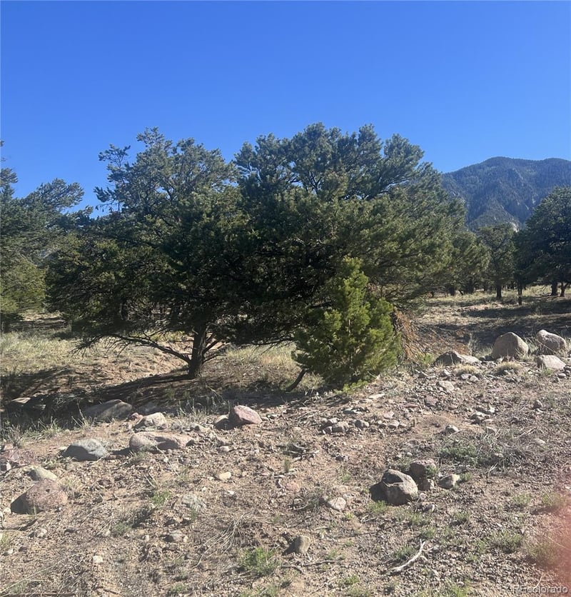 286 Palomino Way, Crestone, CO 81131