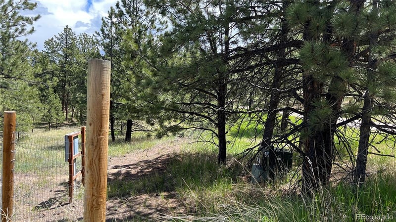 207 Little Bear Dr, Westcliffe, CO 81252