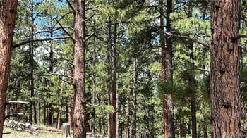 207 Little Bear Dr, Westcliffe, CO 81252