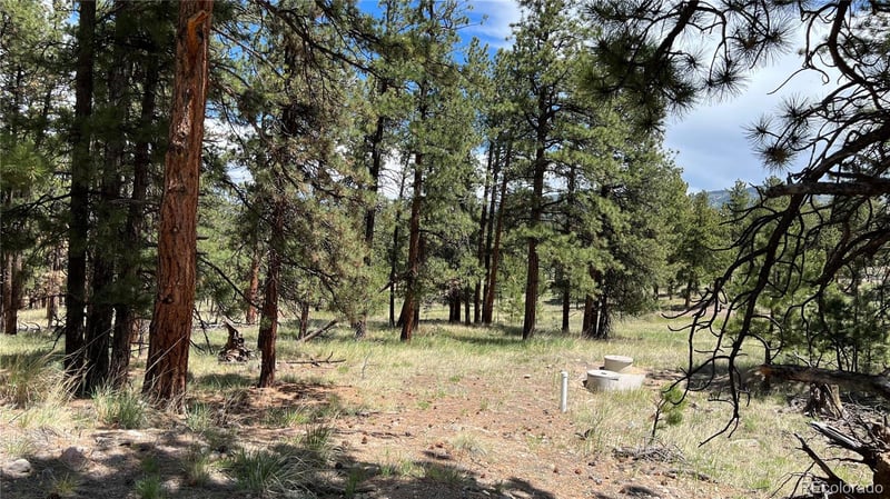 207 Little Bear Dr, Westcliffe, CO 81252