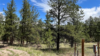 207 Little Bear Dr, Westcliffe, CO 81252
