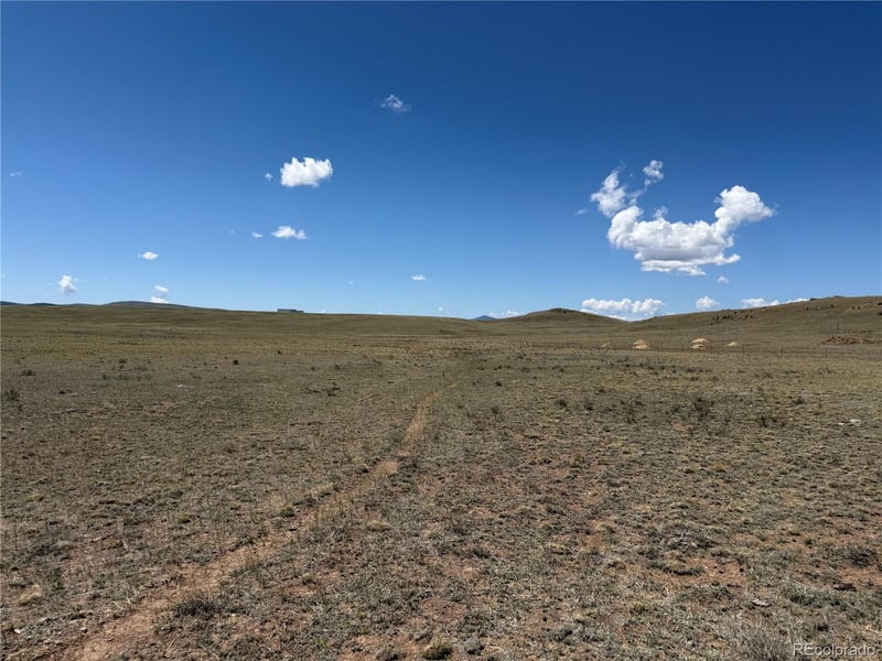 1338 Chimapavi Trl, Hartsel, CO 80449