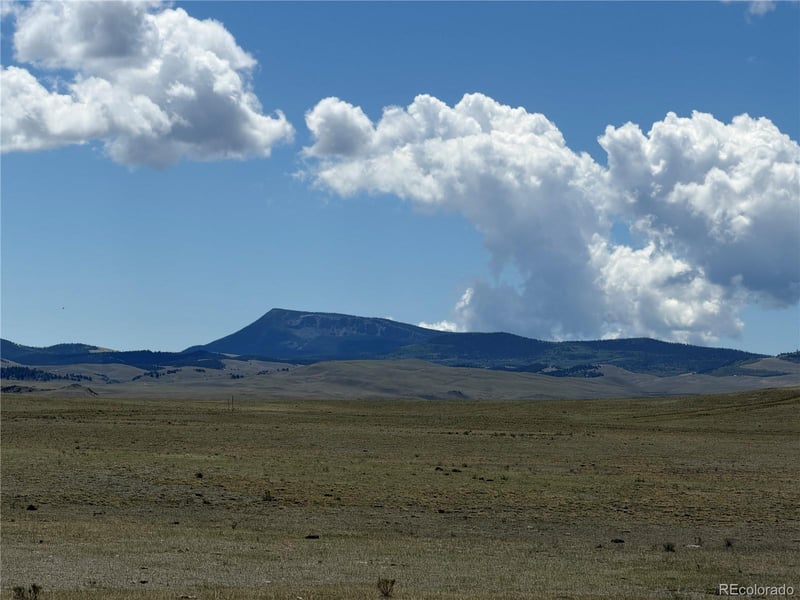 1338 Chimapavi Trl, Hartsel, CO 80449