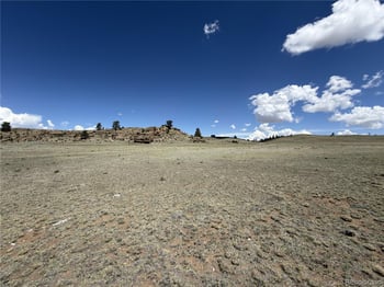 1338 Chimapavi Trl, Hartsel, CO 80449