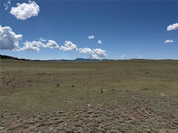 1338 Chimapavi Trl, Hartsel, CO 80449