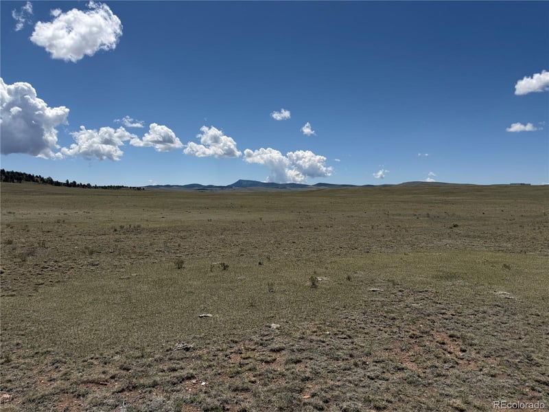1338 Chimapavi Trl, Hartsel, CO 80449