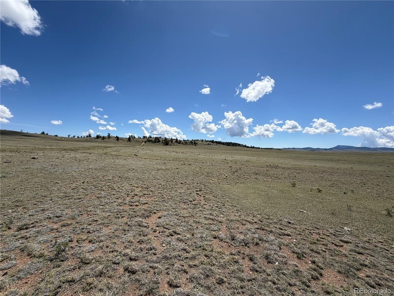 1338 Chimapavi Trl, Hartsel, CO 80449