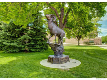 685 Moon Drop Pl, Fort Collins, CO 80521