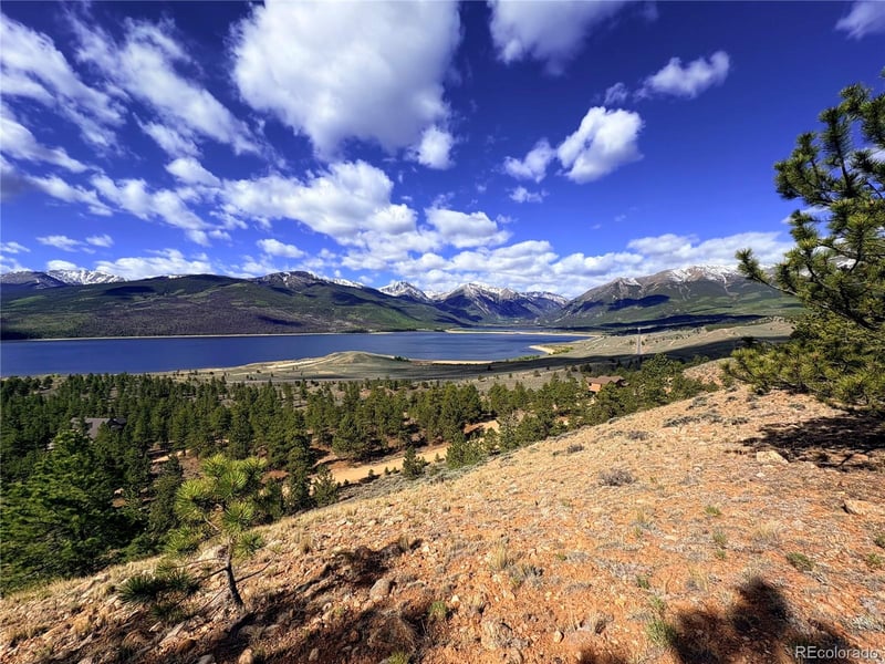 10007 Ross Dr, Twin Lakes, CO 81251