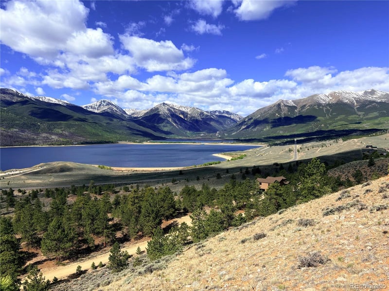 10007 Ross Dr, Twin Lakes, CO 81251
