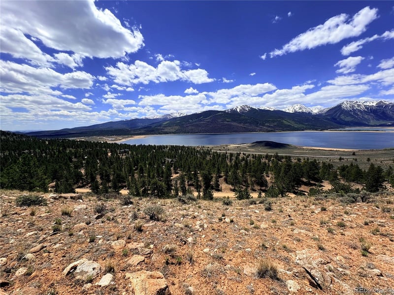 10007 Ross Dr, Twin Lakes, CO 81251