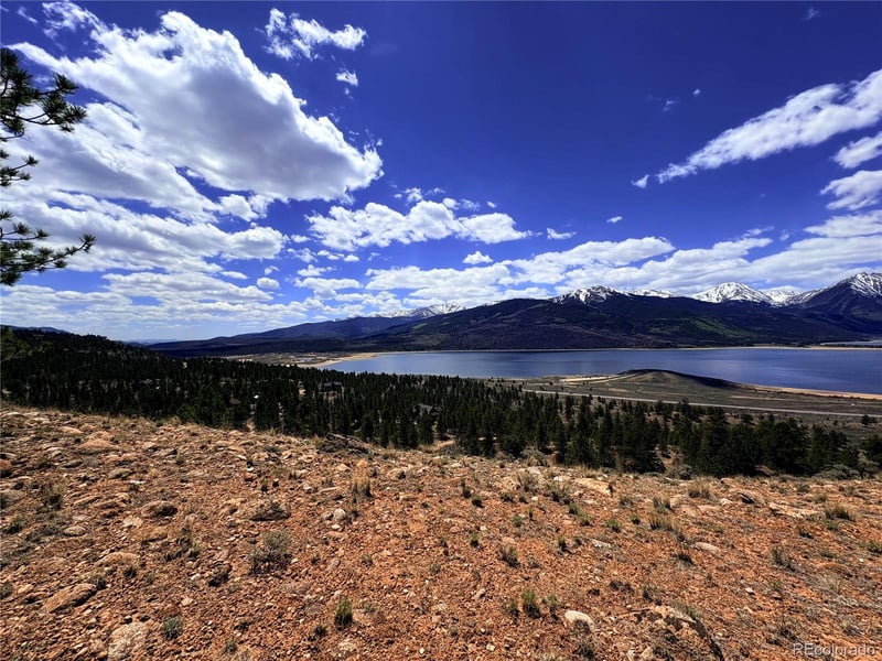 10007 Ross Dr, Twin Lakes, CO 81251
