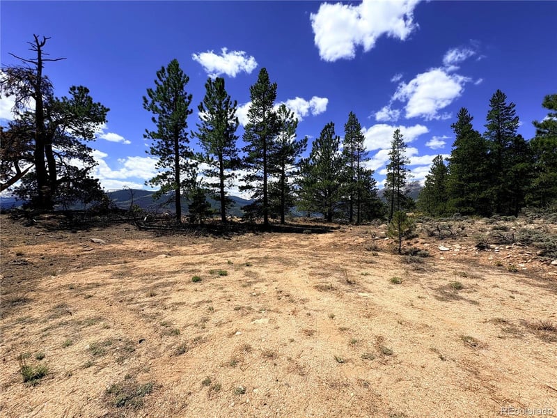 10007 Ross Dr, Twin Lakes, CO 81251
