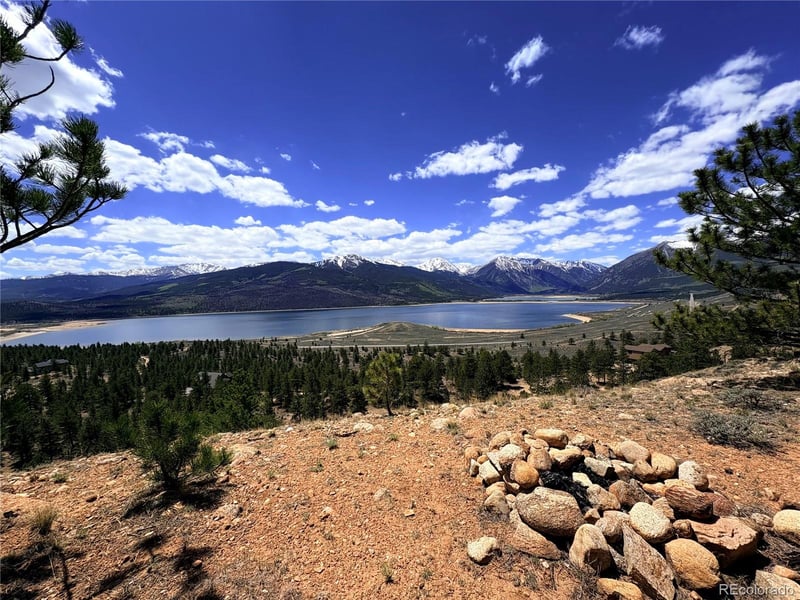10007 Ross Dr, Twin Lakes, CO 81251