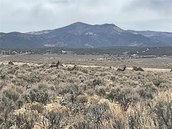 Lot 2923 Patterson Rd, Fort Garland, CO 81133