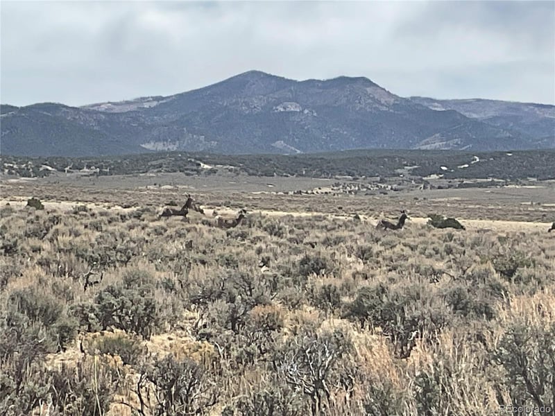 Lot 2923 Patterson Rd, Fort Garland, CO 81133