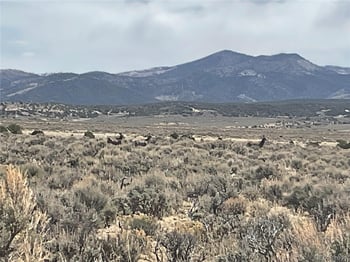 Lot 2923 Patterson Rd, Fort Garland, CO 81133